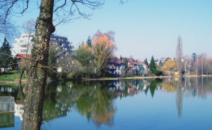Ferienwohnung am Weiher